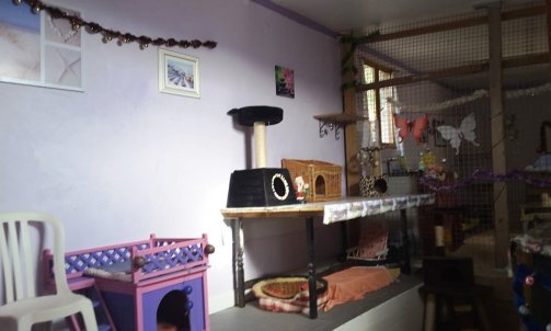 Garderie pour chat Bormes-les-Mimosas   