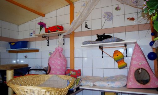 Garderie pour chat La Seyne-sur-Mer   